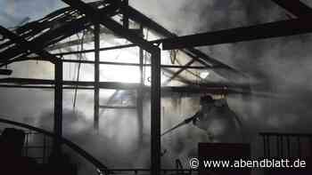 Gewächshaus in Flammen: Feuerwehr löscht Brand in Neuengamme