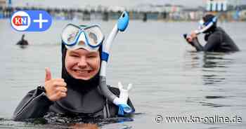 Schnorcheln in der Ostsee: Schüler aus Kiel entdecken das Leben unter Wasser