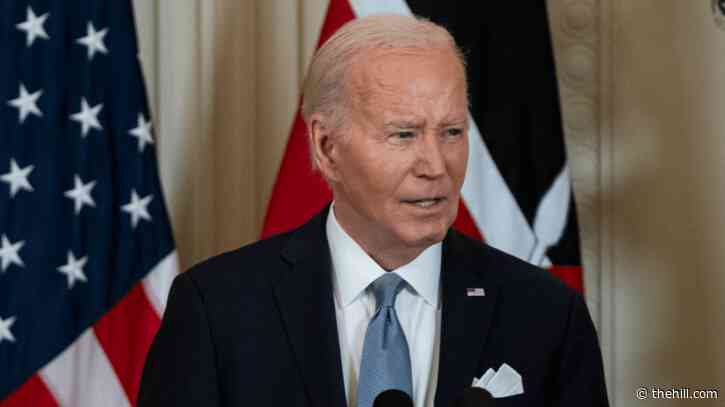 The Memo: Gaza cease-fire push could determine Biden’s 2024 fate