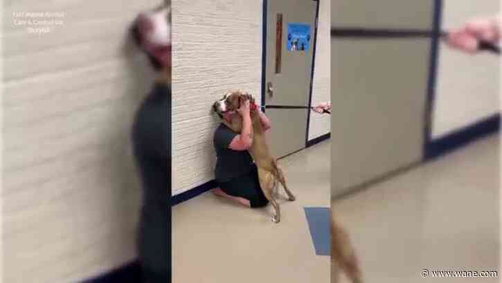 WATCH: Fort Wayne woman reunited with dog after nearly 2 years