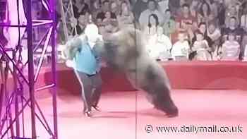Roller-skating circus bear attacks its trainer in front of screaming children after he forcefully made the animal perform