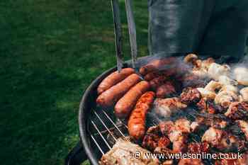 Barbecue rules unveiled as UK prepares for a hot summer