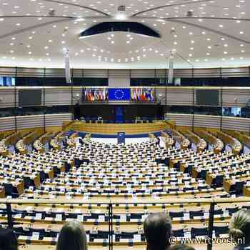 Overijssel kiest: deze provinciegenoten maken een kans op een plek in het Europees parlement