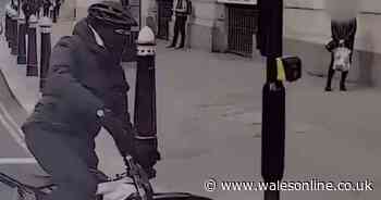 Video shows serial phone snatcher being rammed off electric motorbike by police