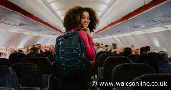 Jet2, Ryanair, Easyjet, TUI, Virgin and BA's small bag rules explained in full