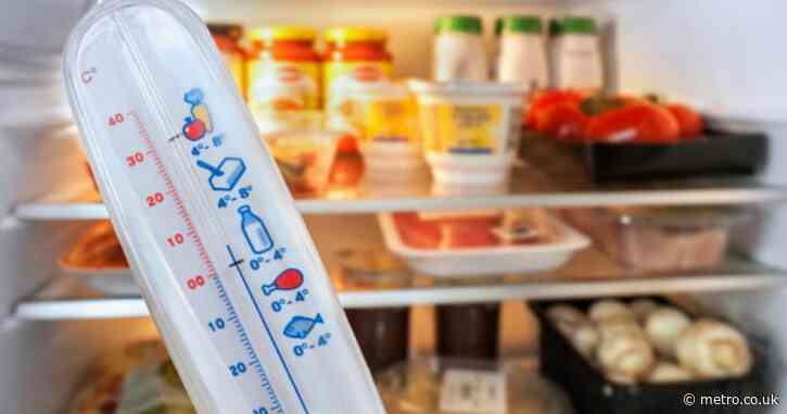Most fridges are unsafe – what temperature should yours be?