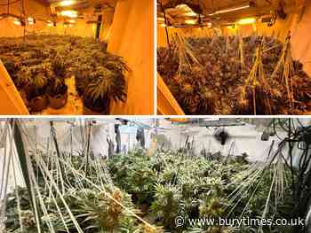 Tottington: Police find £200,000 cannabis farm