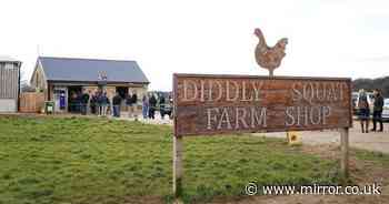 Jeremy Clarkson fan reveals 'insane' time it takes to queue for Diddly Squat Farm Shop