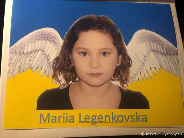 Man to serve 12 months house arrest in fatal hit-and-run of 7-year-old Ukrainian girl