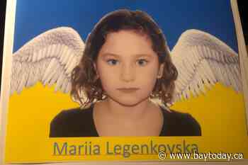 Man to serve 12 months house arrest in fatal hit-and-run of 7-year-old Ukrainian girl