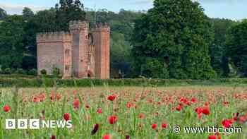 Outstanding poppy season at tourist attraction