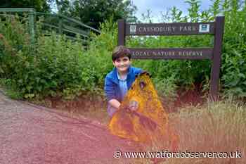 Watford boy, 9, clean up river Gade with birthday present