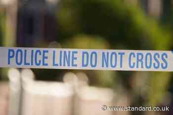 Man, 22, gunned down in east London in second shooting in capital in a week