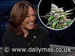 Kamala Harris convicted almost 2,000 for marijuana violations and sent many to prison. Now she laughs at 'Kamala Kush' weed variety and says pot smokers shouldn't be jailed
