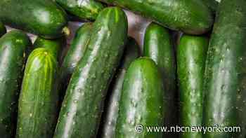 Two dozen sickened across NY, NJ and CT due to salmonella outbreak from cucumbers: CDC