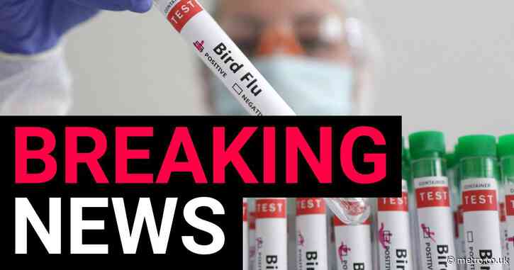 Person dies from bird flu strain never before seen in humans