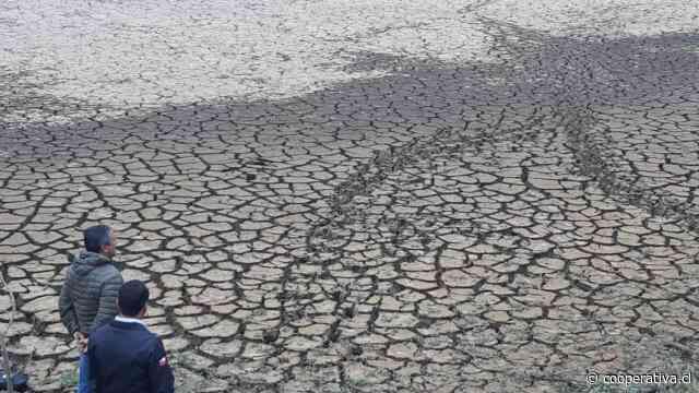 Directora de programa ONU para el Medioambiente está "optimista" en lucha de Chile contra la sequía