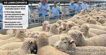 Australian lamb exports to the US on upward trend