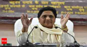 My caste voted mostly for BSP but Muslims didn’t: Mayawati