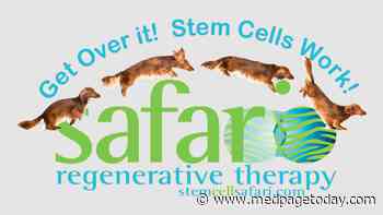 FDA Warns Company Making Stem Cell Products for Pets
