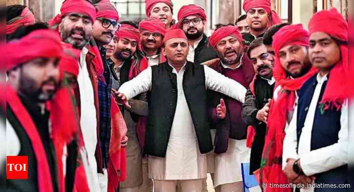 SP win mirrors Akhilesh’s PDA pitch: 86% MPs are OBCs, Dalits, Muslims