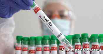 Eerste dodelijke geval van vogelgriep H5N2 bij mensen gemeld, 59-jarige Mexicaan overleden