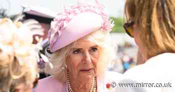 Sweet and powerful reason Queen Camilla chose to wear pink to poignant D-Day 80th anniversary event