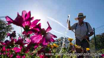Nachhaltige Gartenarbeit: Tipps zum Wasserverbrauch