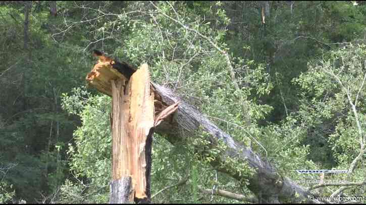 Tuesday storms result in heavy damage in Tangipahoa Parish