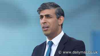 Just the ticket! Rishi Sunak vows to cut rail fares for veterans and protect their rights to mark D-Day anniversary
