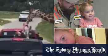 Giraffe snatches toddler from car at Texas safari park