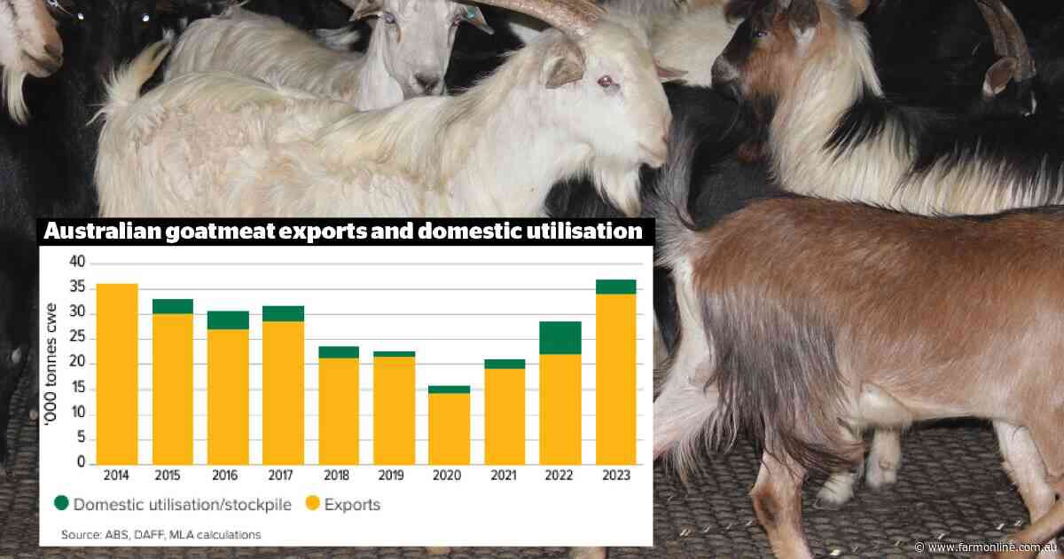 Booming herd could stabilise domestic goatmeat supply