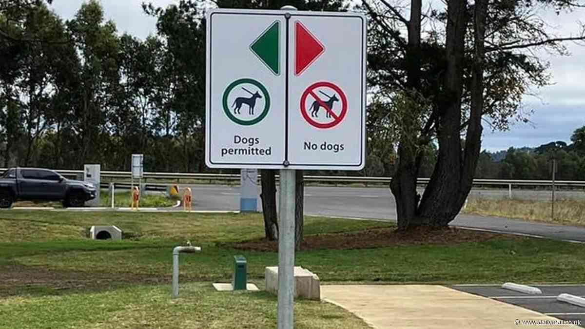 Dog walkers call out 'stupid' sign erected by council at Bong Bong Common Park in Bowral: 'Need a scratching head emoji'