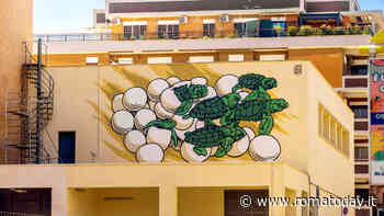 A Ostia arriva il “nido”, il murale di Lucamaleonte dedicato alle tartarughe marine