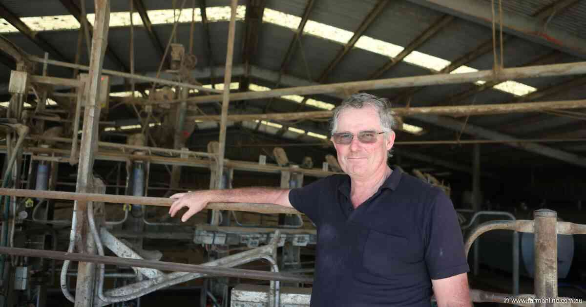 VFF's commodity council withdrawal 'silly stuff' says dairy boss