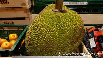 Exotische Überraschung für 127 Euro: Preis für Riesen-Frucht bei Edeka sorgt für Aufsehen