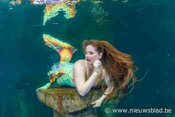 Van sociaal werker tot fulltime zeemeermin: Lieke (37) kocht levensgroot aquarium om dromen na te jagen