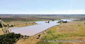 Oak Springs delivers irrigation, dryland farming and cattle business