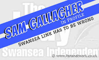 Swansea City : Sam Gallagher in profile, but why ?