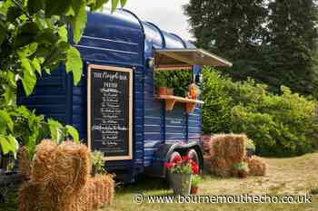 New pop-up bar opened at New Forest hotel for the summer