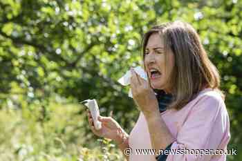 Hay Fever pollen bomb: Met Office says levels will rise