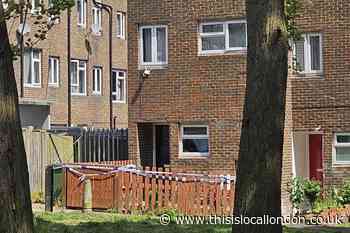 Nightingale Vale Woolwich incident: Woman fighting for life
