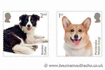 Royal Mail issues new stamps with UK's favourite dog breeds