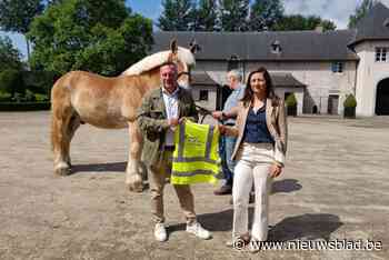 Nieuwe campagne voor veilig paardentoerisme in hele provincie: “Paard op de baan? Kalm aan!”