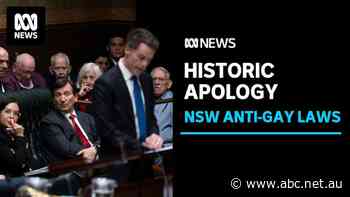 NSW Premier apologises for state's historic anti-gay laws