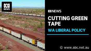 WA Liberals unveil policy to cut green tape