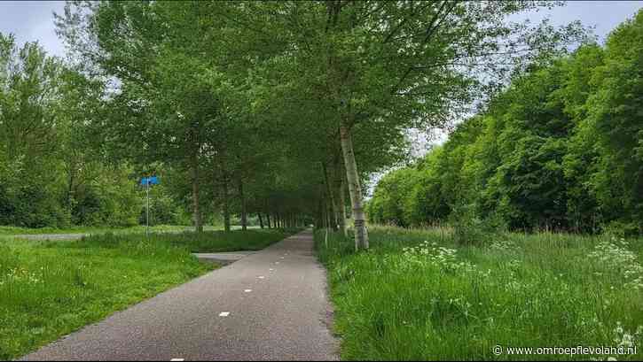 Almere - Almere kan niet maaien door de nattigheid, gras tot een meter hoog