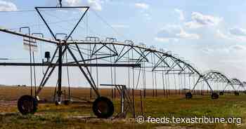 Texas farmers face mounting expenses as droughts worsen
