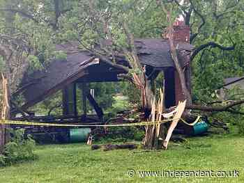 Toddler killed and mother injured as tornado sends tree crashing into their home in Detroit