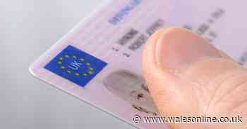 Motorists told 'it's crucial' in £1,000 driving licence update warning